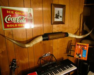 Texas longhorn mount