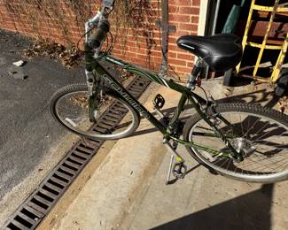Bike…tires need air