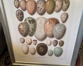 Large framed egg poster