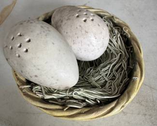 Fun ceramic egg salt and pepper set