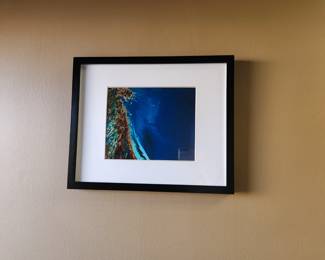 Lobby artwork / picture with frame