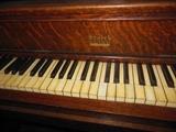 Starck Ivory Keys :)
