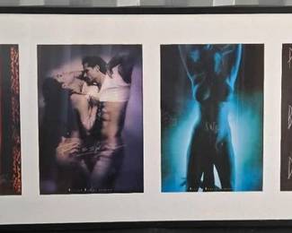 2222  4 William Hawkes Prints in One Frame