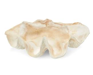 1420
20th century or earlier
A giant clam shell specimen
Depicting half of the shell of a bivalve mollusk
8.5" H x 20.75" W x 13.875" D
Estimate: $300 - $500