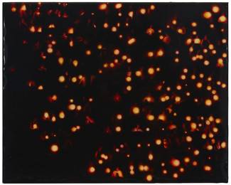 1301
Dolly Thompsett
b. 1971
"Gathering," 2004
Oil, glitter, mixed media, and resin, on linen
Signed, titled, and dated in ink on the upper portion of the stretcher: D. Thompsett
16" H x 20" W
Estimate: $200 - $300