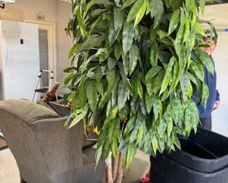 Artificial Ficus Tree