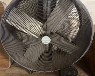 Shop Fan