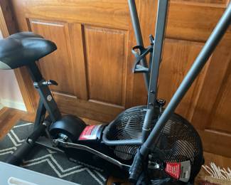 Schwinn Airdyne