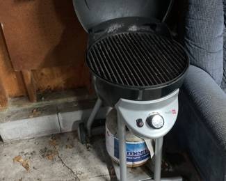 Propane grill