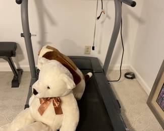 Nordic Track Treadmill 