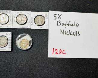 Buffalo Nickels 