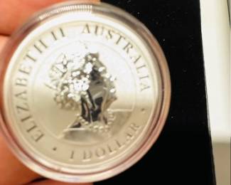 Front of Australian Wedge Tailed Eagle 