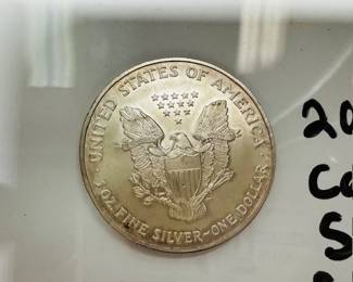 Back of 2004 Colorized Silver Eagle 