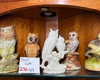 Owl Lot 