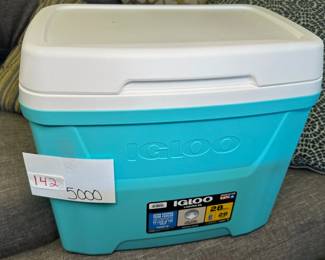 Igloo Cooler