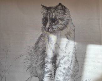 pen and pencil drawings by "Vida"