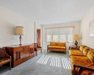 MCM LIVING ROOM- VINTAGE MCM CANE BARREL CHAIRS, MCM SERVER- ALL LIGHTLY USED!