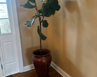 Plant with pot
