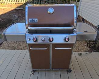  06 Weber Genesis Gas Grill