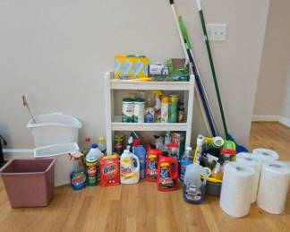 Huge Cleaning Lot