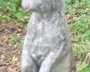 10 - Concrete Rabbit - 28" Tall