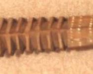 354 - Samoan Fa'alaufa'i Traditional Weapon - 31" Long