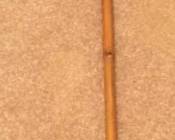 365 - Cane with Rearview Mirror & Horn - 40" Long