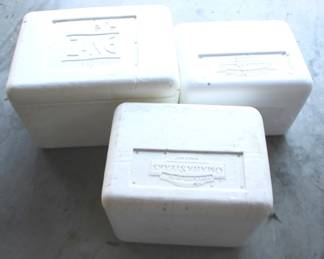 271 - 3 Styrofoam Coolers