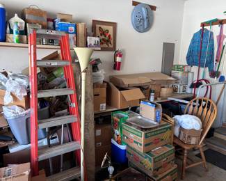 Ladder and garage items