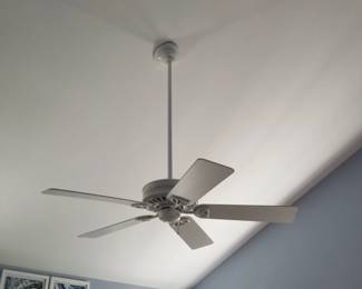 Ceiling fans