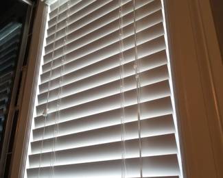 Levolor blinds