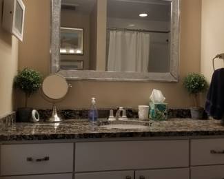Bath vanity; mirror; vanity light
