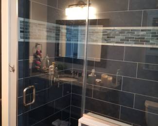 Glass shower door & panel