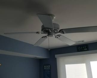 Ceiling fan