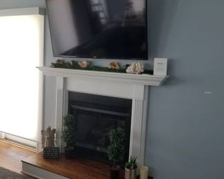 Fireplace insert; mantel & surround. Sorry -owner keeping TV