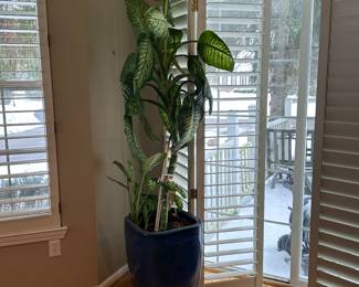 Large plant heavy stoneware pot