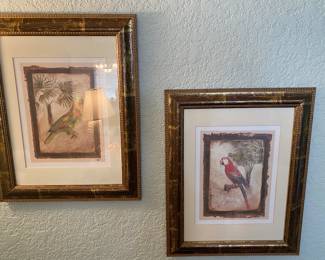 2 parrot prints