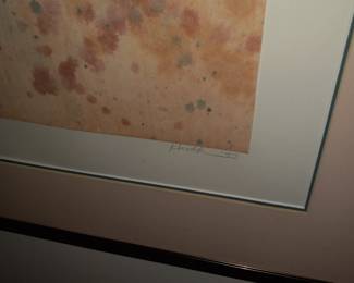 Items Located On The Finished Lower Level