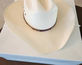 Stetson straw hat