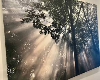 oversized picture 6’5” by 4’8”