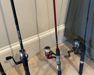 Fishing rod/reels