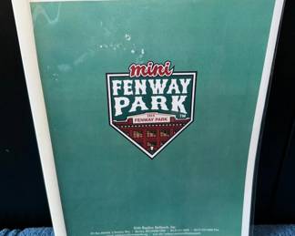 Mini Fenway Park Rare Investors Guide