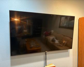 Sony Bravia TV