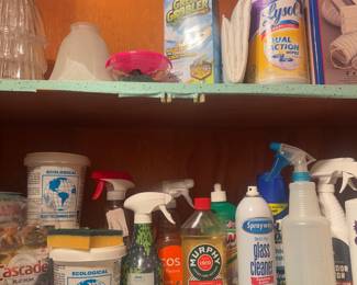 Assortment of Cleaning Chemicals
