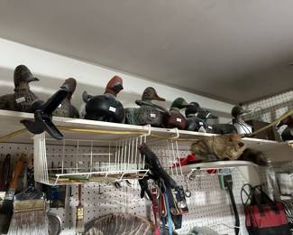 Duck Decoys