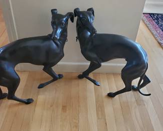 Pair of Whippets quite large