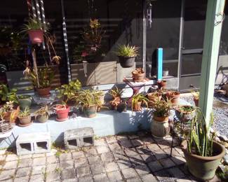 Plants and pots YES, Blocks, stepping stones, stones that edge gardens NO! That is inclusive of ALL pictures. Sorry folks.