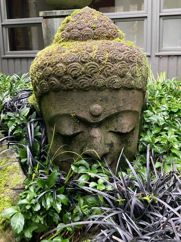 Cement Buddha Head Statue