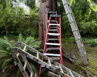 Four Ladders Werner Krause And More