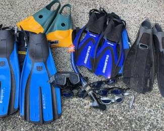 Snorkel Fins and Googles